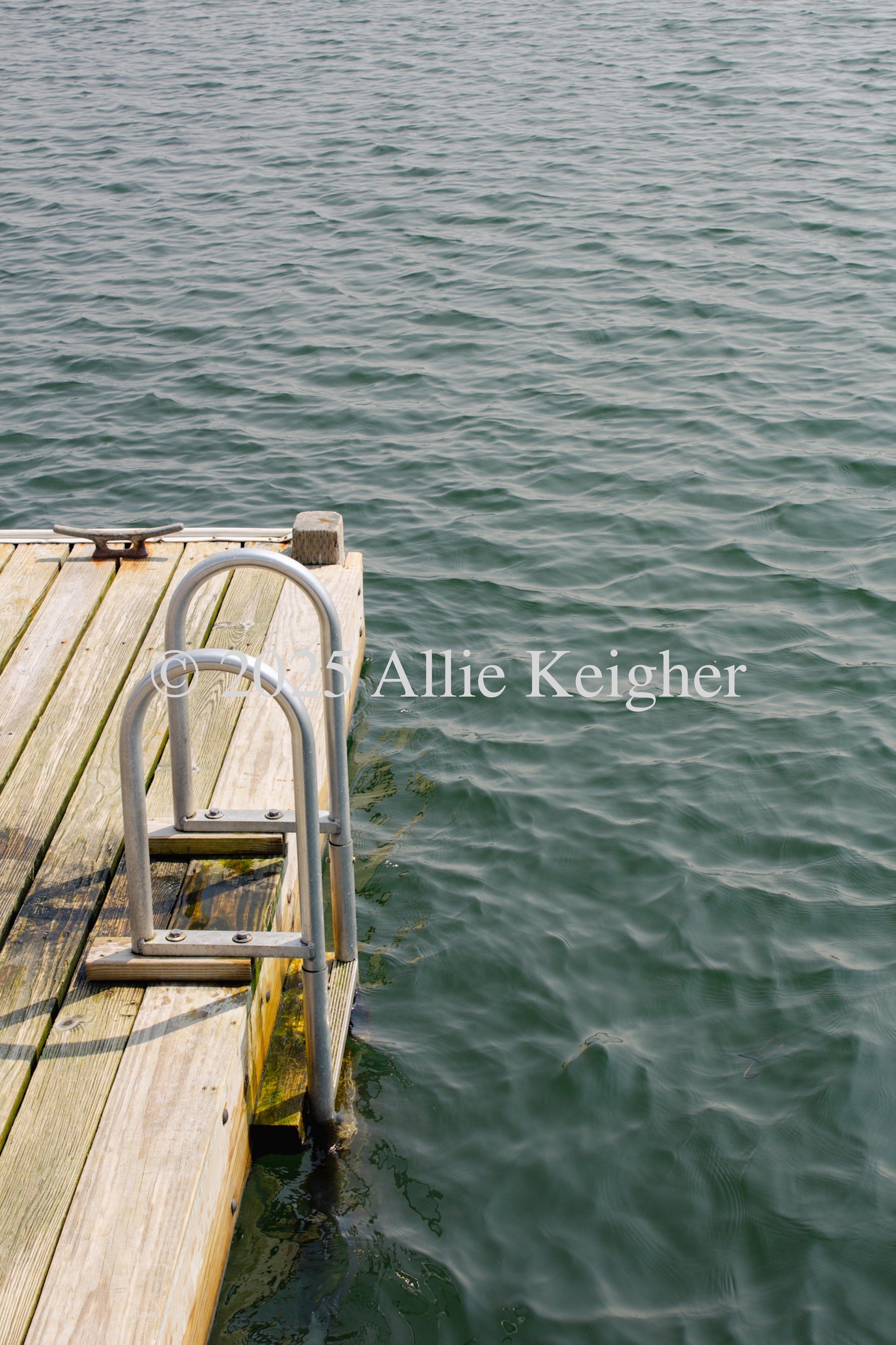 Dock Dip